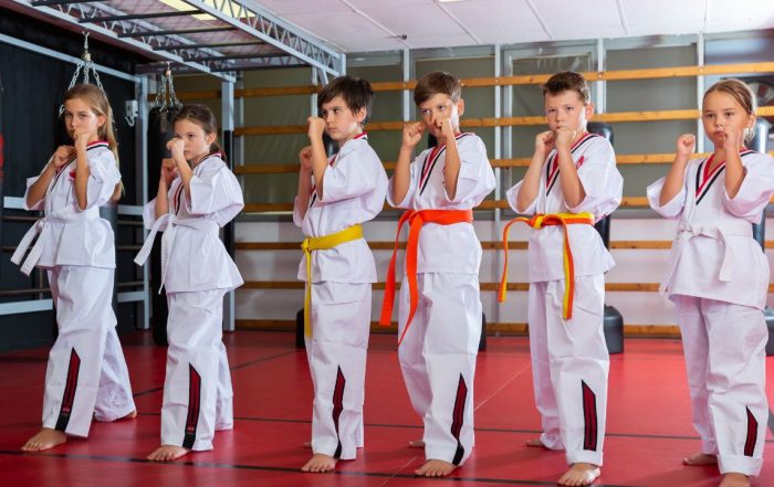 kick boxing for kids