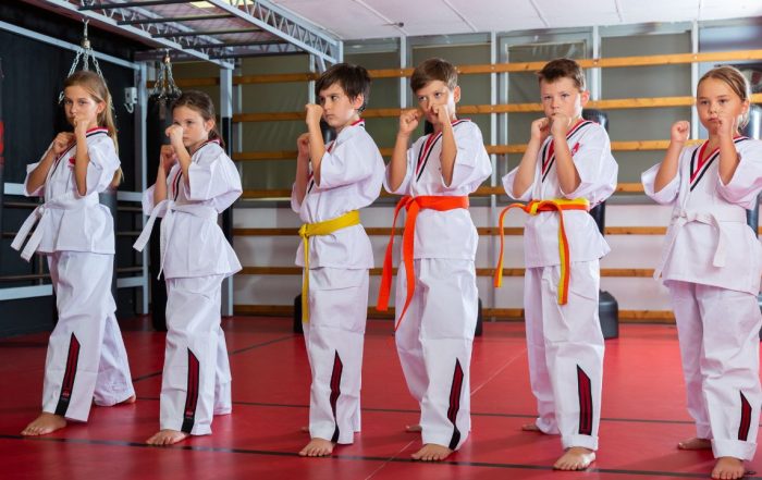 Cómo las artes marciales enseñan disciplina y valores a los más jóvenes