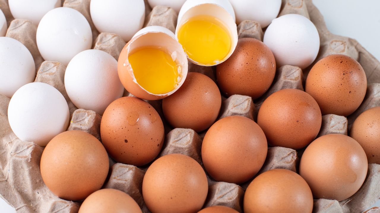 Cómo puedes saber si un huevo está fresco y es seguro para su