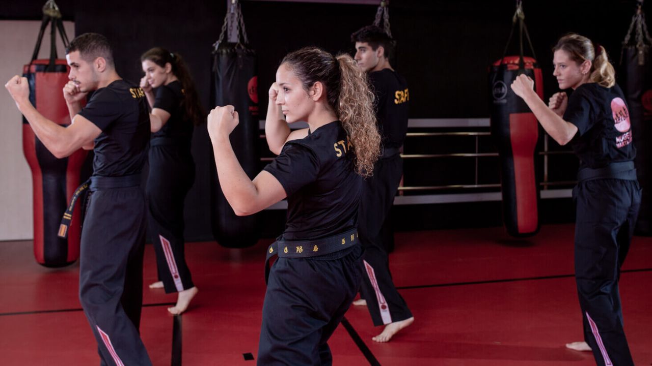 escuelas de artes marciales